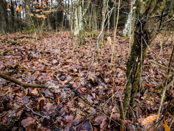 Patrol Strażników Przedborskiego Parku Krajobrazowego z Państwową Strażą Łowiecką, 